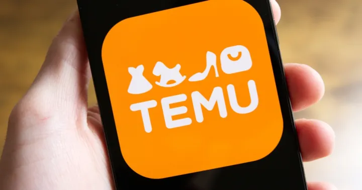 Temu下载量登顶，背后还有哪些隐忧？