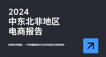 重磅解读 |《2024中东北非地区电商报告》免费下载，中东北非地区欺诈误报较多，跨境电商应如何保障支付安全？