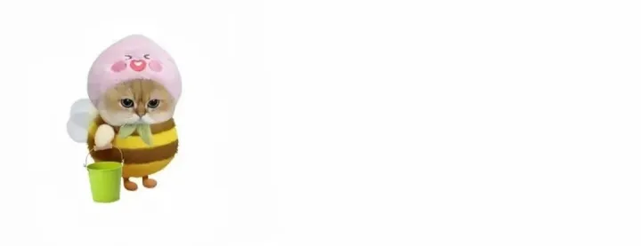 日本头部电商之一——趣天（qoo10）