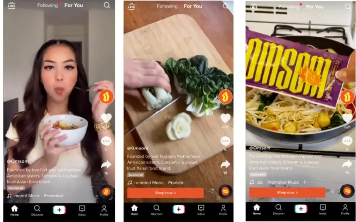 TikTok广告指南：从策略创意到广告投放