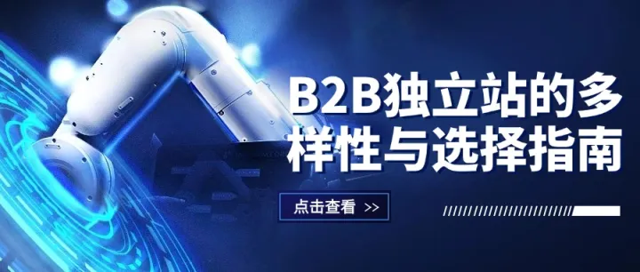 B2B独立站的多样性与选择指南