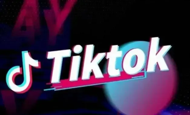 TikTok 添加新的对话用户界面以帮助指导其算法