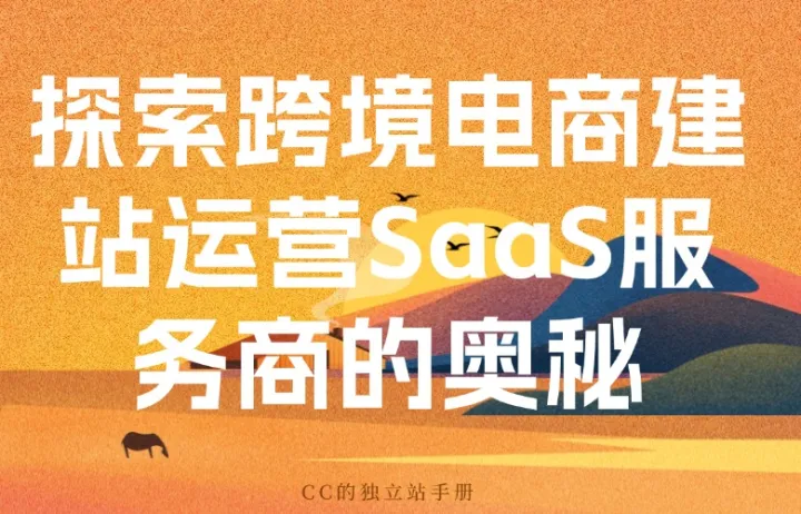 探索跨境电商建站运营SaaS服务商的奥秘
