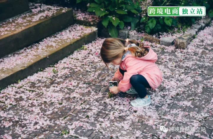 如何在跨境电商独立站上提高销售额和利润？这个卖家的失败经历告诉你！