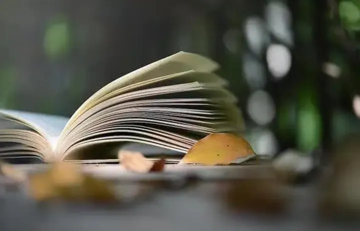 成长笔记：认真做好一件事，它会解释所有事