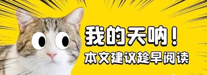 未来的外贸该怎么做？总理这么说