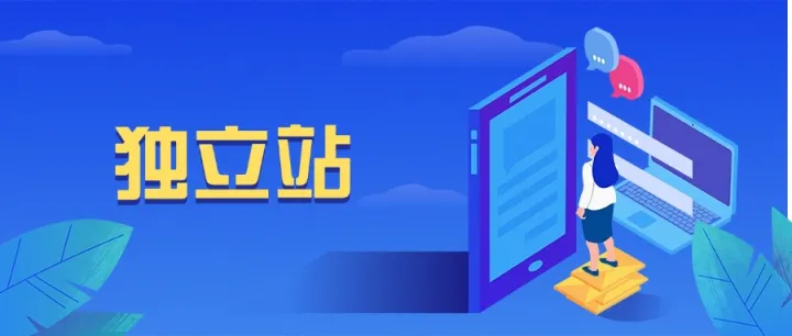 为什么做独立站？