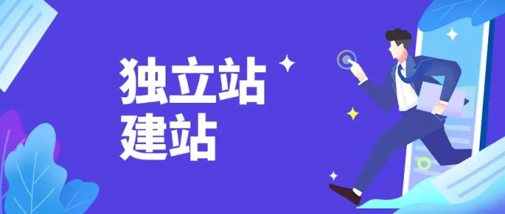 保定海外独立站：开启全球化电商新篇章