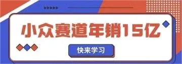 向大佬学习，卖家在小众赛道一年卖了15.4亿