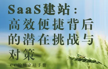 SaaS建站：高效便捷背后的潜在挑战与对策