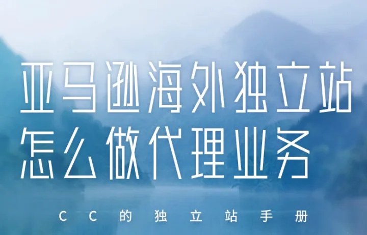 亚马逊海外独立站怎么做代理业务