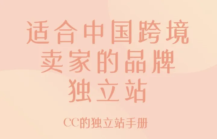 适合中国跨境卖家的品牌独立站
