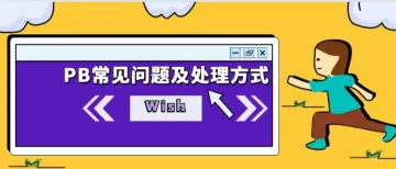 Wish平台PB常见问题及处理方式解析