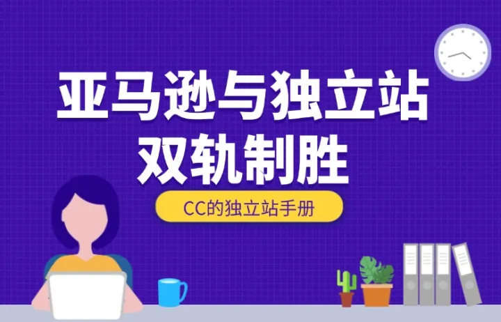 亚马逊与独立站双轨制胜