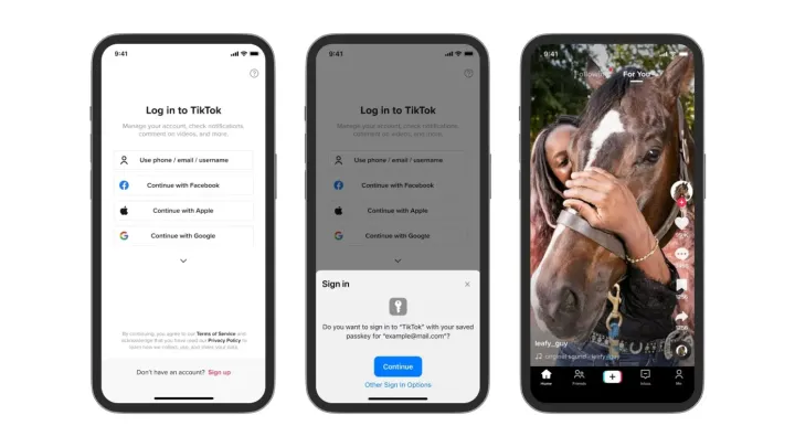 TikTok 推出对 iOS 设备的密钥支持