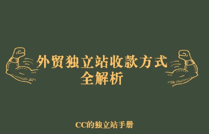 外贸独立站收款方式全解析