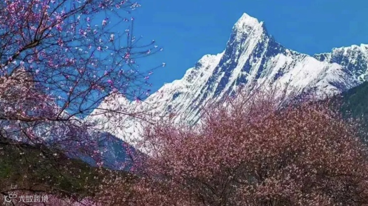 无垠新生●数字时局 TikTok Shop美区卖家大会「亚马逊\/工贸企业专场」泉州站