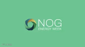 2025年尼日利亚阿布贾石油天然气展览会 NOG ENERGY WEEK