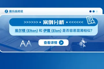 案例分析：埃尔顿 (Elton) 和伊隆 (Elon) 是否容易混淆相似？