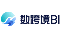 数跨境BI