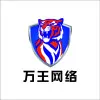 万王网络