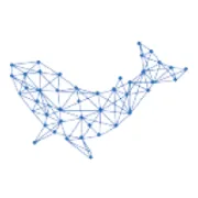 <em>济南</em>旌旗国际