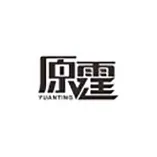 <em>原</em>霆科技