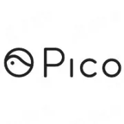 Pico VR