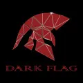 <em>黑</em>旗