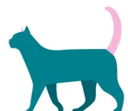 跨境<em>活动</em>一览