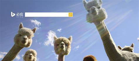 必应搜索引擎广告如何优化？