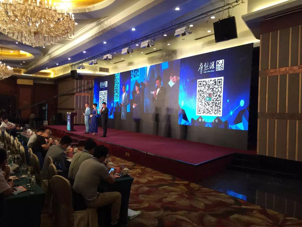 鹰熊汇：鹰击长空