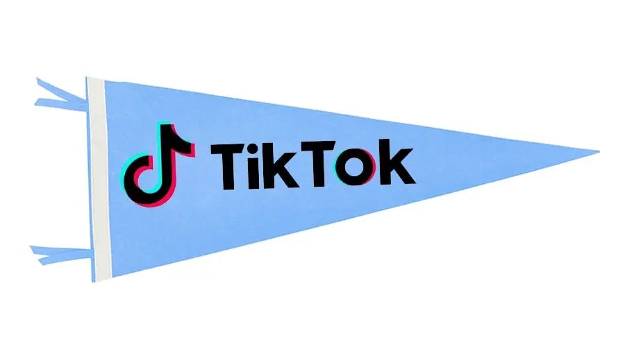 独立站配合TikTok的玩法一定会成为跨境卖家的新浪潮。