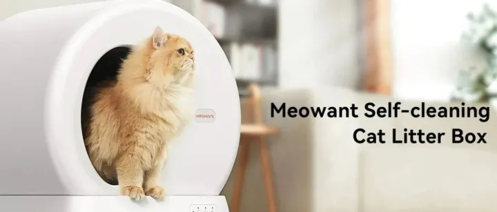 月销2000+单，小众宠物品牌在美区飙升！| 爆品洞察