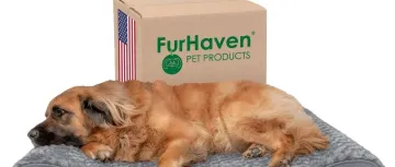 Furhaven—美国宠物电商平台，用户留存率达95%