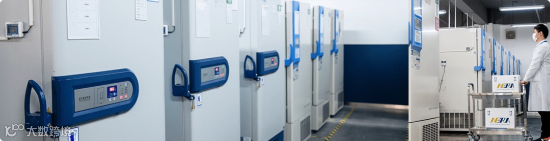 国药、华润、上药、九州通、京东、中通、邮政、顺丰、安能、德邦、大田……谁在服务万亿规模的医药流通市场？