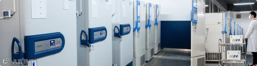 国药、华润、上药、九州通、京东、中通、邮政、顺丰、安能、德邦、大田……谁在服务万亿规模的医药流通市场？