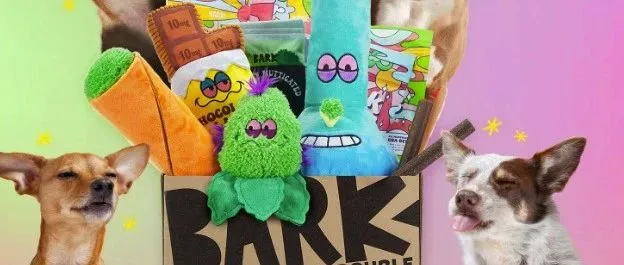 估值16亿美金，“毛孩子”专属品牌Barkbox“盲盒打法”无敌了！