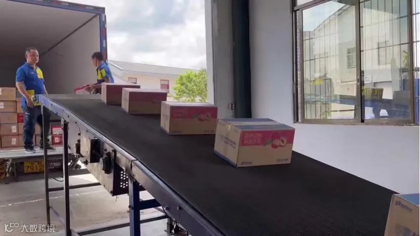 德邦掘金荔枝产业带，五大举措推动“茂荔”产业高质量发展