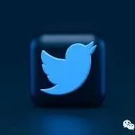 Twitter广告投放模式怎么选？