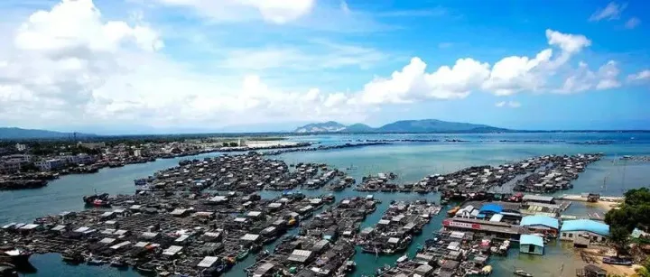 短剧、游戏动漫、数字传媒多点开花 这座名不见经传的海南小县城把“文化出海”拿捏住了