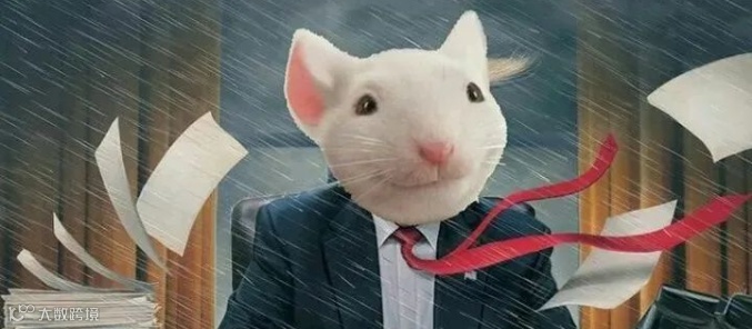 扬帆周报 No.29丨谷歌开放第三方支付、裁员潮席卷硅谷 一起看更多出海圈大事件