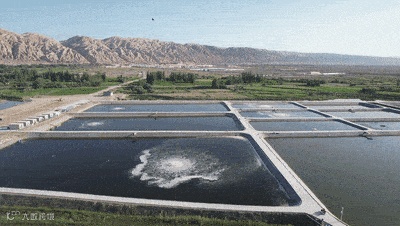 新疆“海鲜”这泼天的富贵，顺丰、中通、<a target=