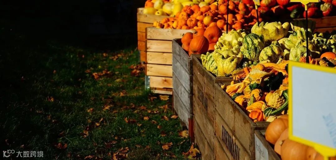 待开垦的成都冷链市场，存在哪些痛点？如何解？