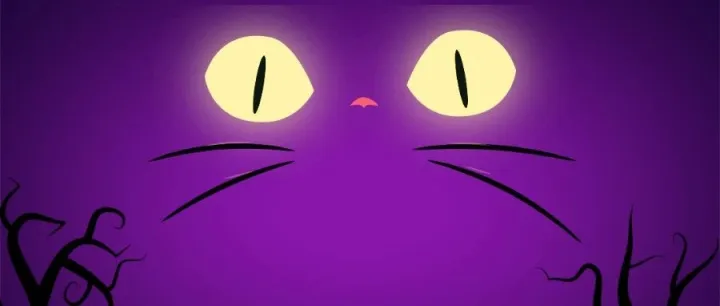 赵博杂记--有钱，决定了一切吗？