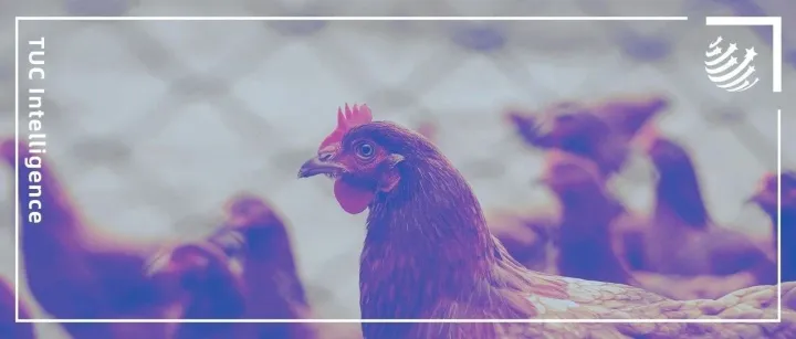 他从“鸡贩子”起家，靠农牧供应链连获五轮投资，正向IPO冲刺