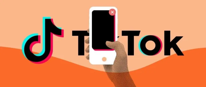 X疲惫不堪，TikTok势头正好，2024年谁将成为社媒领头羊？