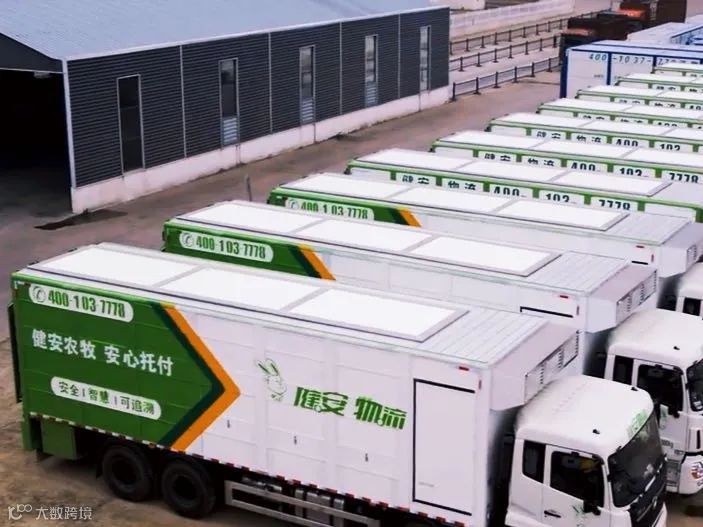 他从“鸡贩子”起家，靠农牧供应链连获五轮投资，正向IPO冲刺