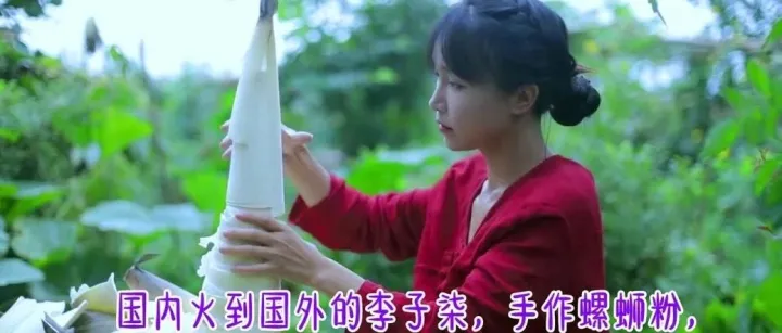 比罗永浩还火，中国网红“李子柒们”的大航海时代