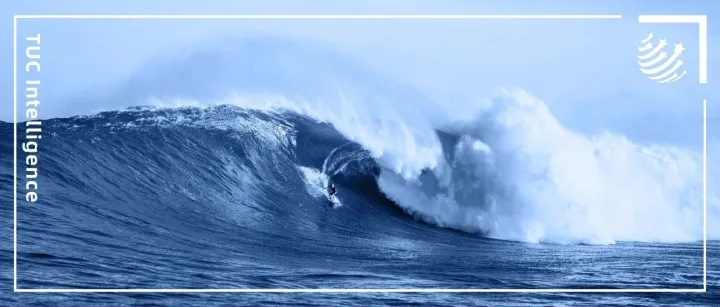 中国实体零售“硬折扣”：一场供应链大变迁